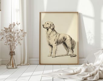 Lienzo con boceto vintage de un golden retriever: elegante dibujo de perro en tinta negra para decoración clásica de pared y rústica del hogar.