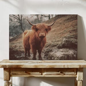 Highland Cow Canvas Wall Art | Rustic Farmhouse Decor | Scottish Highland Cattle Print | Country Animal Wall Art for Living Room or Cabin