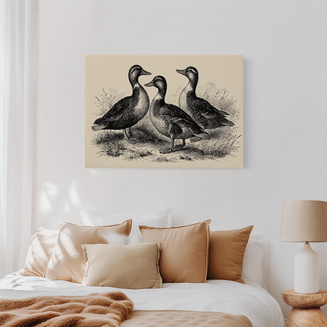 Vintage Duck Illustration, Black and White Farmhouse Bird Art