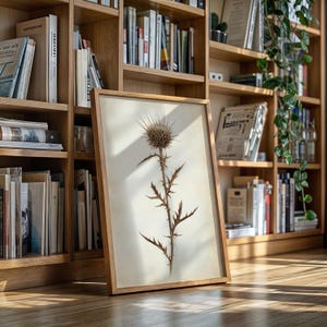 May include: A framed botanical print featuring a dried thistle plant. The artwork has a light beige background and a natural wood frame. The thistle is brown with spiky leaves and a large, textured flower head. The print is displayed on a wooden floor in front of a bookshelf.