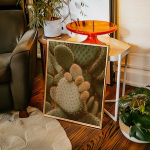 Wüsten Kaktus Wandbild - Nahaufnahme des Feigenkaktus Poster im rustikalen orange und grünen botanischen Dekor-Stil
