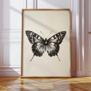 Pu&ograve; includere: Un'illustrazione in bianco e nero di una farfalla con intricati motivi sulle ali. La farfalla &egrave; centrata su uno sfondo color crema.