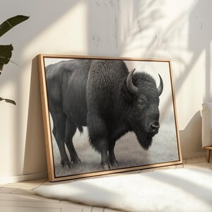Majestic American Bison Black and White Canvas Wall Art – Rustic ...