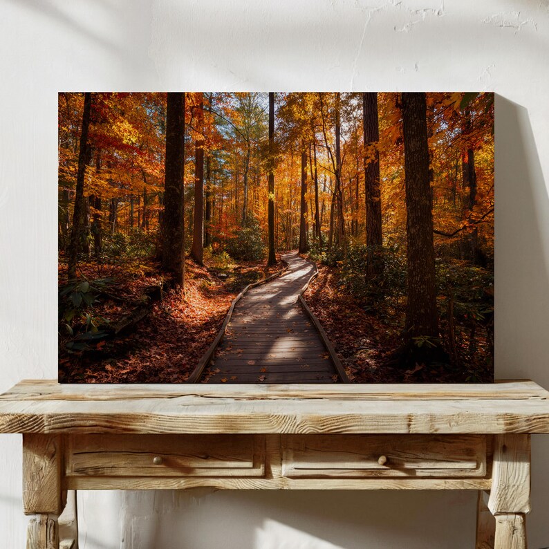 Autumn Forest Path Canvas Wall Art | Vibrant Fall Foliage Woodland ...