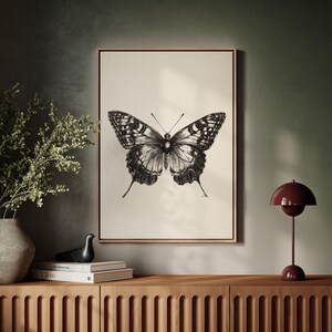 Pu&ograve; includere: Un'illustrazione in bianco e nero di una farfalla con le ali spiegate. La farfalla &egrave; centrata su una tela color crema con una cornice in legno.