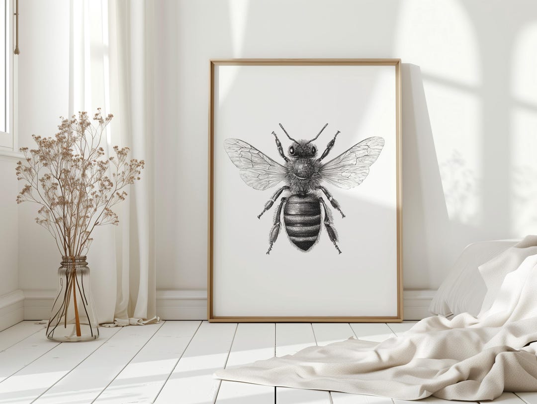 Detailed Honey Bee Illustration Wall Art, Black and White Insect