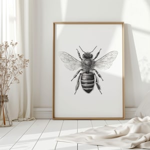 Könnte beinhalten: Gerahmte Schwarz-Weiß-Illustration einer Biene mit ausgebreiteten Flügeln. Die detaillierte Zeichnung zeigt den Körper, die Flügel und die Fühler der Biene. Das Kunstwerk wird in einem Raum mit einer Vase mit Trockenblumen und einem weißen Vorhang ausgestellt.