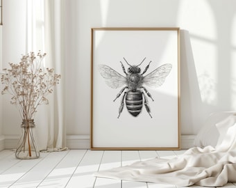 Detailed Honey Bee Illustration Wall Art, Black and White Insect
