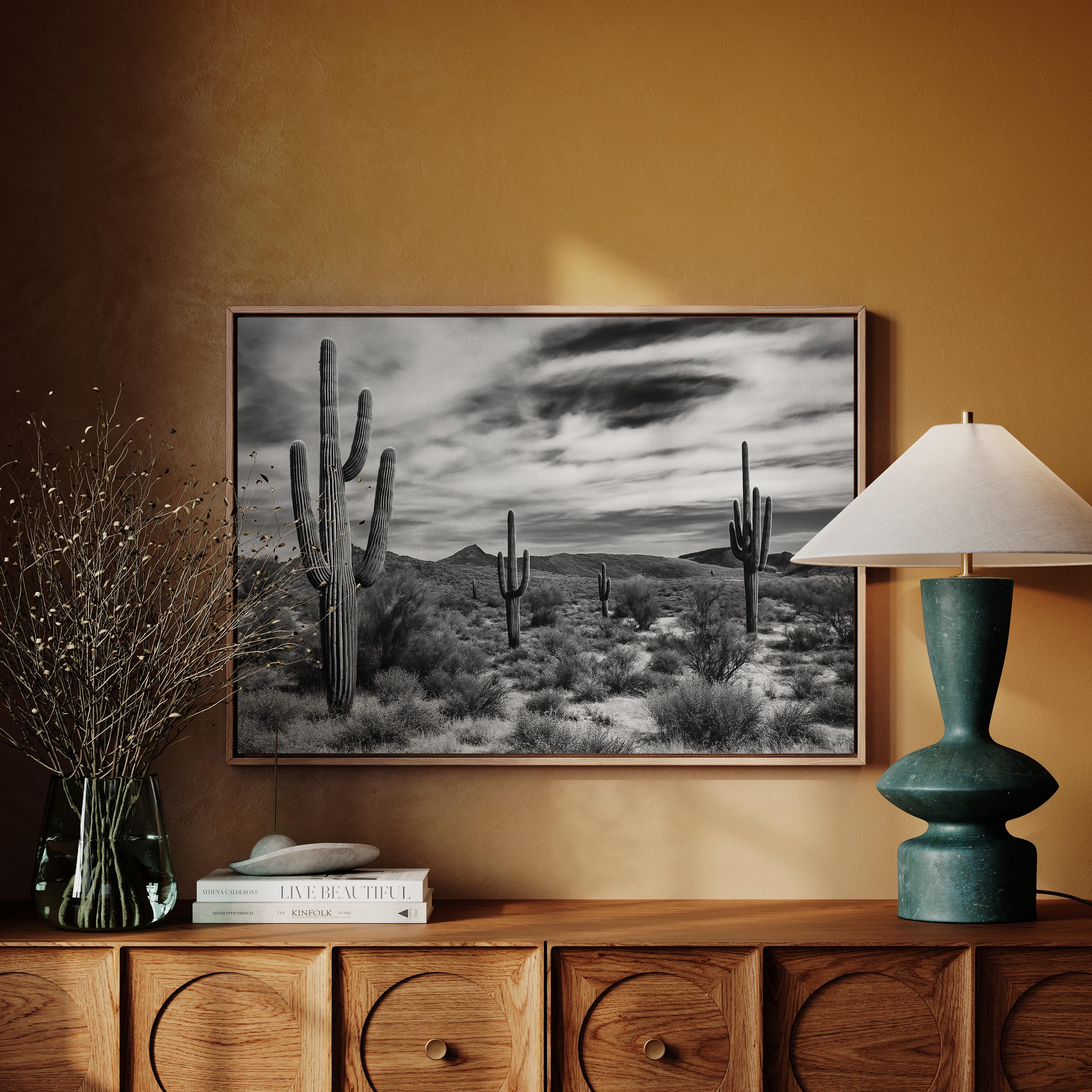 Leinwandbild Arizona Sonoran Kaktus – Schwarz-weißes Wüstenmotiv Für Moderne Wohnräume