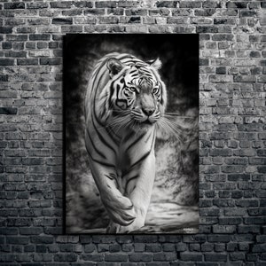 White Tiger Canvas Wall Art, Black and White Tiger Wall Decor Canvas Wall Art, Print Extra large Wall Art