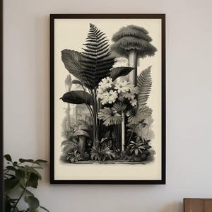 Vintage Fern Botanical Print, Engraving Style Wall Art, Monochrome Nature Illustration, Classic Scientific Decor, Detailed Fern Study