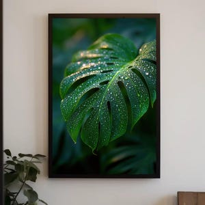 Monstera Leaf Photography Print, Dew Drops, Biophilic Wall Art