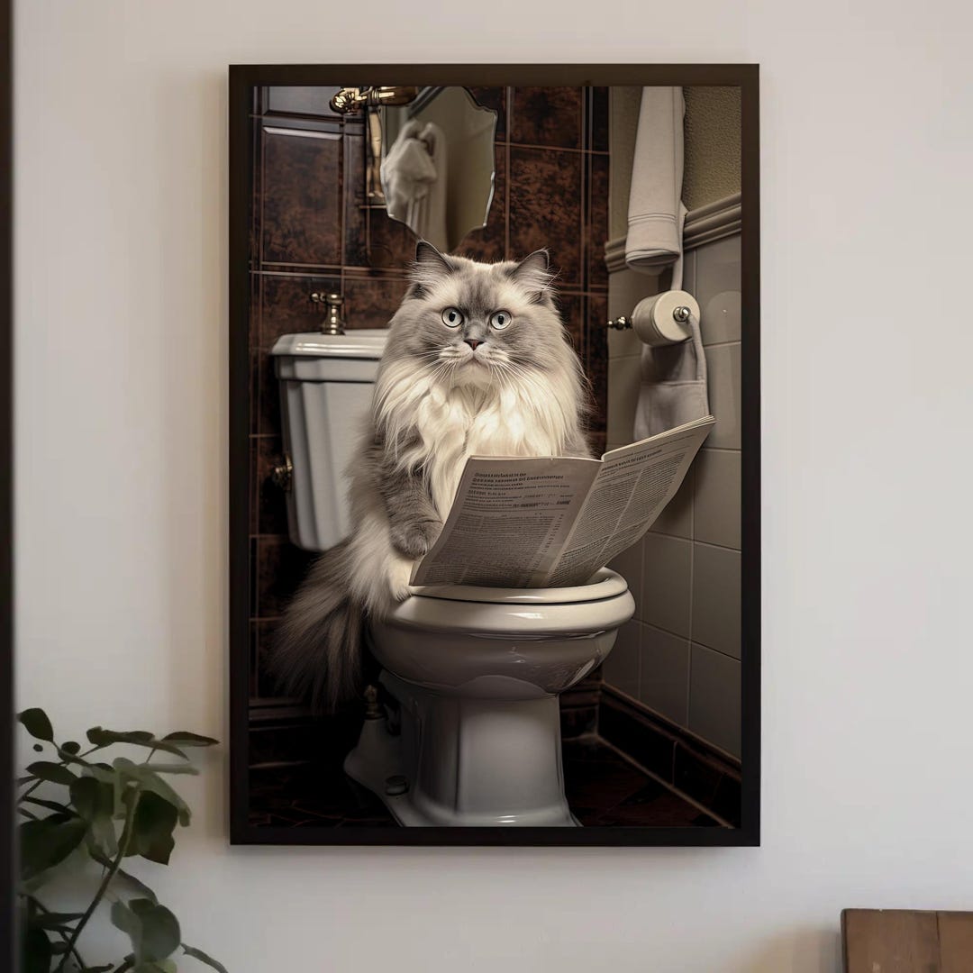 Ragdoll Cat Toilet Newspaper Art | Funny Bathroom Framed Print - Etsy