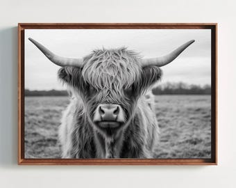 Highland Cow Canvas Print, Rustic Farmhouse Wall Art