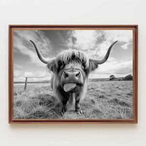 Funny Highland Cow Canvas Print | Black and White Farmhouse Wall Art