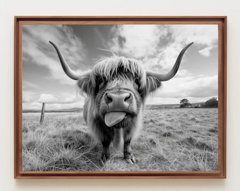 Puede incluir: Una impresión de arte de pared enmarcada en blanco y negro que muestra una vaca Highland de pie en un campo de hierba. La vaca tiene cuernos largos y curvados, pelaje peludo sobre los ojos y la lengua fuera. La escena está bajo un cielo nublado.