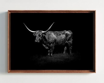 Puede incluir: Una fotografía en blanco y negro enmarcada de una vaca longhorn de perfil. El animal presenta cuernos largos y curvados y un pelaje texturizado, capturado sobre un fondo negro sólido. La obra está dentro de un marco de madera marrón.