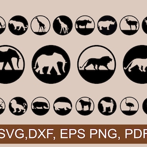 Bundle of 20 Africa safari animals silhouette and cutouts in circles / Disks.  Instant download in SVG, Png, DXF, EPS and Pdf formats.