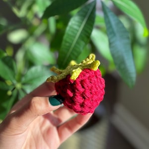 May include: A crocheted raspberry with a green stem and leaves. The raspberry is red and the leaves are green.