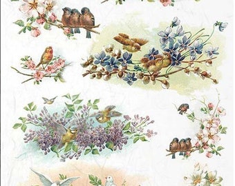 Rice Paper Decoupage A4 R 1070
