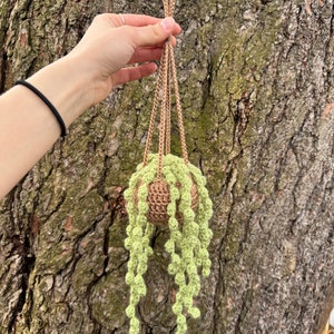 May include: A handmade crochet hanging planter with a brown pot and trailing green plant. The planter is suspended by tan cords and held by a hand against a tree trunk background. The plant has a string of pearls design.