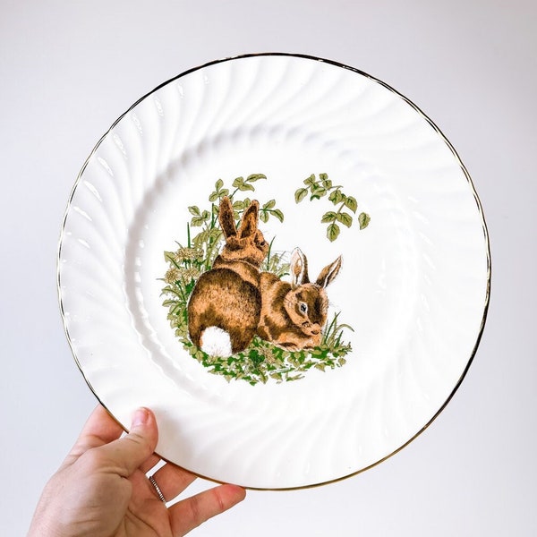 Vintage Bone China Rabbit Decorative Plate by Royal Staffordshire in England