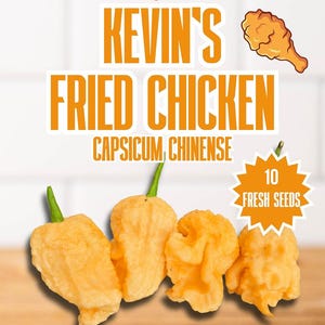 Peut inclure: Image de graines de piment Capsicum Chinense "Kevin's Fried Chicken". L'image présente quatre piments jaune-orange avec des tiges vertes, et le texte "Super Hot" et "10 Fresh Seeds".