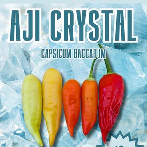 Aji Crystal Chilli Seeds - 10 verse Aji Crystal Pepper Seeds