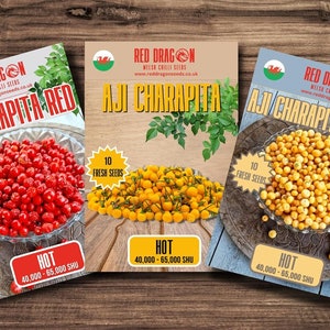 Aji Charapita Triple Pack Seeds - Charapita Red - Charapita Yellow - Charapita Peach - 30 Fresh Seeds