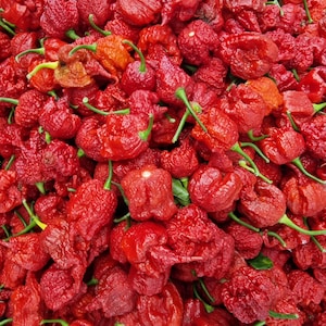 Carolina Reaper Chilli Seeds - 20 Fresh Seeds - Carolina Reaper Pepper Seeds - Worlds Hottest Pepper Seeds