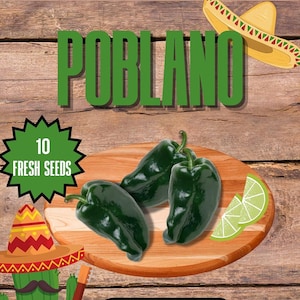Poblano Chilli Seeds: verse ancho-peperzaden