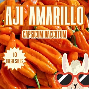 Semi di peperoncino Aji Amarillo - 10 semi di peperoncino fresco