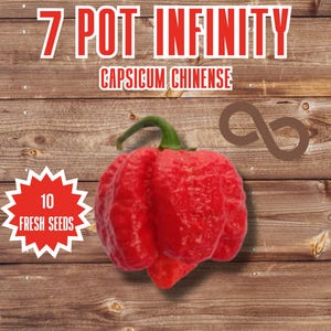 Könnte beinhalten: Eine rote 7 Pot Infinity Chili-Schote mit einer unebenen Textur. Die Schote ist mit "Super Hot" und "1 Million SHU" gekennzeichnet. Das Bild enthält auch den Text "7 Pot Infinity", "Capsicum Chinense" und "10 Fresh Seeds".