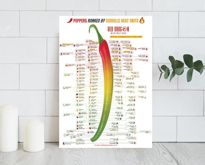 Red Dragon Seeds Scoville Chilli Chart A2 Laminated With Over 120