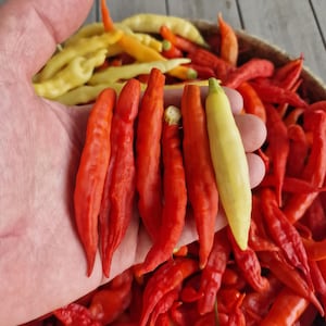 Aji Strawberry Drop Chilli Seeds - 10 Fresh Aji Strawberry Drop Pepper Seeds