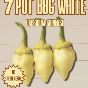 May include: A seed packet label for 7 Pot BBG White Capsicum chinense chilli seeds. The design features three pale yellow peppers with green stems, the text 'RED DRAGON WELSH CHILLI SEEDS', '10 FRESH SEEDS', and 'SUPER HOT 800,000 - 1,000,000+ SHU'.