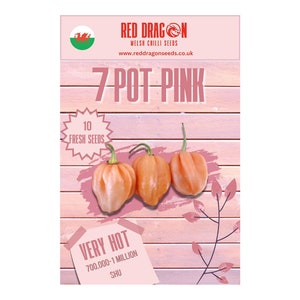 May include: A packet of 7-Pot Pink chilli pepper seeds from Red Dragon Welsh Chilli Seeds. The packet features a pink wooden background with a red dragon logo and the text "7-Pot Pink" in large white letters. The packet includes 10 fresh seeds and a Scoville heat unit rating of 700,000-1 million SHU.