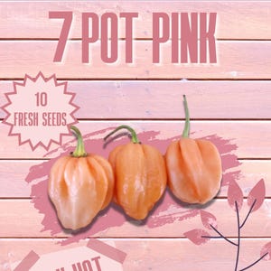 May include: A packet of 10 fresh 7 Pot Pink chilli seeds from Red Dragon Welsh Chilli Seeds. The image features three light pink, wrinkled chilli peppers, the text 7 POT PINK, VERY HOT, 700,000-1 MILLION SHU, and the website www.reddragonseeds.co.uk.