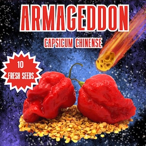 Può includere: Una confezione da 10 semi di peperoncino fresco chiamata "Armageddon" con un logo di drago rosso. I semi sono super piccanti, con un punteggio di unità di calore Scoville di 1,3 milioni di SHU. I peperoncini sono rossi e hanno una consistenza rugosa. Lo sfondo è blu scuro con stelle.