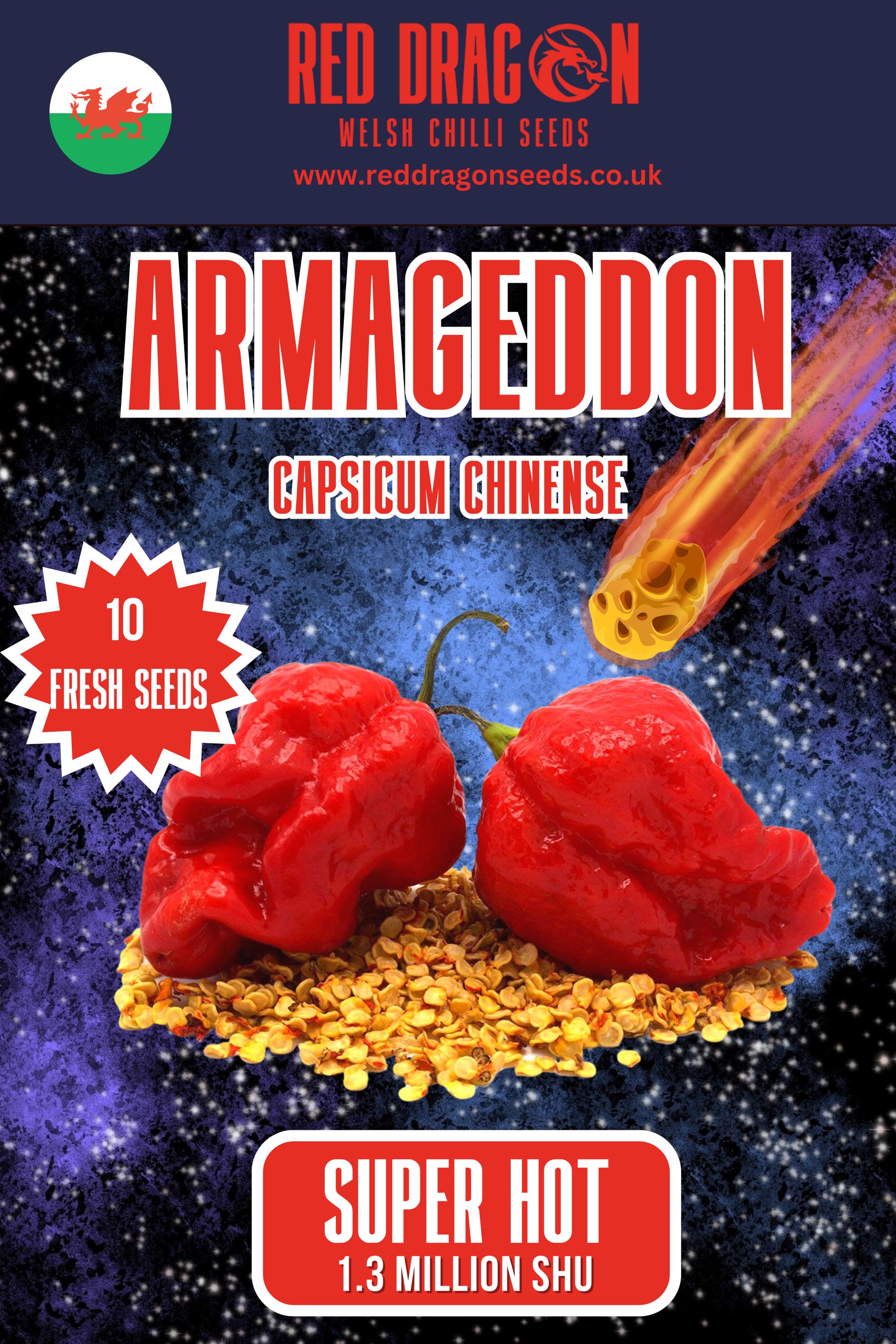 Graines De Piment Biquinho Ou Petit Bec Jaune Ou Rouge