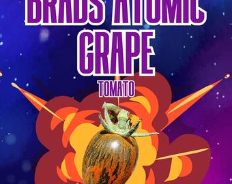 Brads Atomic Grape Cherry Tomato Seeds - 15 Fresh Seeds