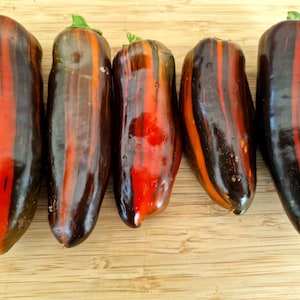 Candy Cane Chocolate Cherry Pepper Seeds - 10 Fresh Candy Cane Chocolate Cherry Sweet Pepper Seeds.
