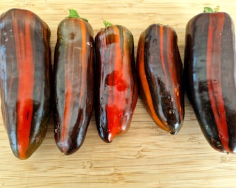 Candy Cane Chocolate Cherry Pepper Seeds - 10 Fresh Candy Cane Chocolate Cherry Sweet Pepper Seeds.