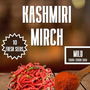 Kashmiri Mirch Chilisamen - 10 Frische Samen - Toller Pfeffer zum Essen und zur Herstellung von rotem Chilipulver