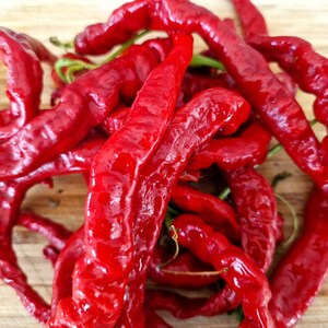 HJ5 Helix Nebula Space Chilli Seeds - 10 Fresh HJ5 Helix Nebula Space Pepper Seeds