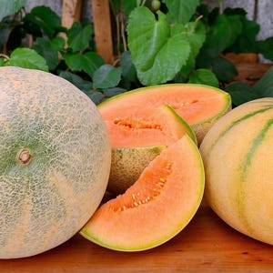 May include: An assortment of ripe cantaloupe melons, with one whole melon and several cut pieces revealing the orange flesh. The melons are on a wooden surface, with green foliage in the background. The melons have a light green and yellow rind.