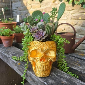 3D Printed Skull Planter – Gothic Decorative Plant Pot for Succulents & Cacti – Handmade in Wales.