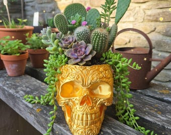 Peut inclure: Un pot de fleurs en forme de crâne doré métallique rempli d'une variété de plantes succulentes vertes, incluant des cactus raquettes, de petits cactus et des plantes tombantes. Le crâne présente des motifs en relief complexes.