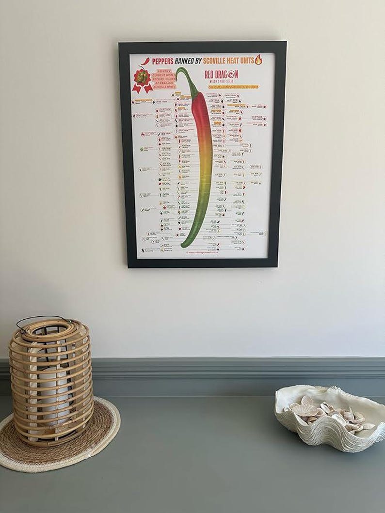 Red Dragon Seeds Scoville Chilli Chart A2 Laminated With Over 120