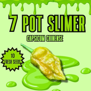 Op de afbeelding: Een pakje met 10 7 Pot Slimer chilipepers zaden. Het pakje is groen met een gele chilipeper erop. De tekst op het pakje luidt "7 Pot Slimer", "Capsicum Chinense", "Zeer heet", "700.000 - 1 miljoen SHU" en "10 verse zaden".